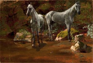 Estudio de caballos salvajes de Albert Bierstadt